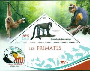 MONKEY APES PRIMATES FAUNA CHARLES DARWIN MADAGASCAR 2019 MNH STAMP SET 4 SHEETS