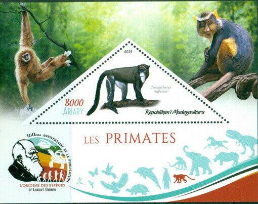 MONKEY APES PRIMATES FAUNA CHARLES DARWIN MADAGASCAR 2019 MNH STAMP SET 4 SHEETS