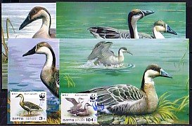 N. Korea, Scott cat. 4399-4402. Swans-W.W.F. value on 4 Max. cards.s