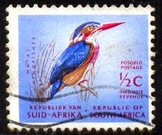Bird, Natal Pigmy Kingfisher, South Africa stamp SC#254 used