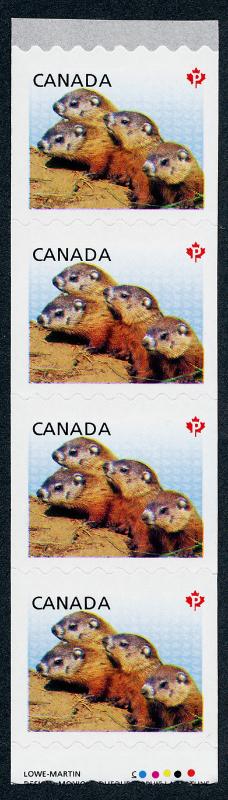 Canada 2604i Starter Coil Strip MNH Baby Woodchucks