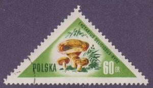 Poland 845 Mushrooms