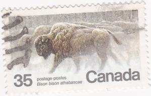 Canada - 1981 Bison - Endangered Animals 35c used 