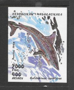 SHARK - MALAGASY #1287  MNH