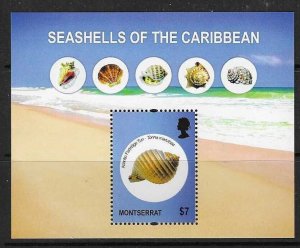 MONTSERRAT SGMS1477 2011 SEASHELLS  MNH