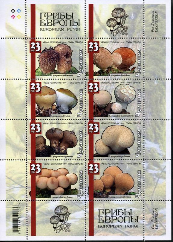 CHUVASHIA RUSSIA LOCAL SHEET MUSHROOMS 
