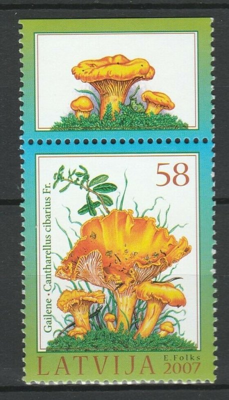 Latvia 2007 Mushrooms MNH stamp