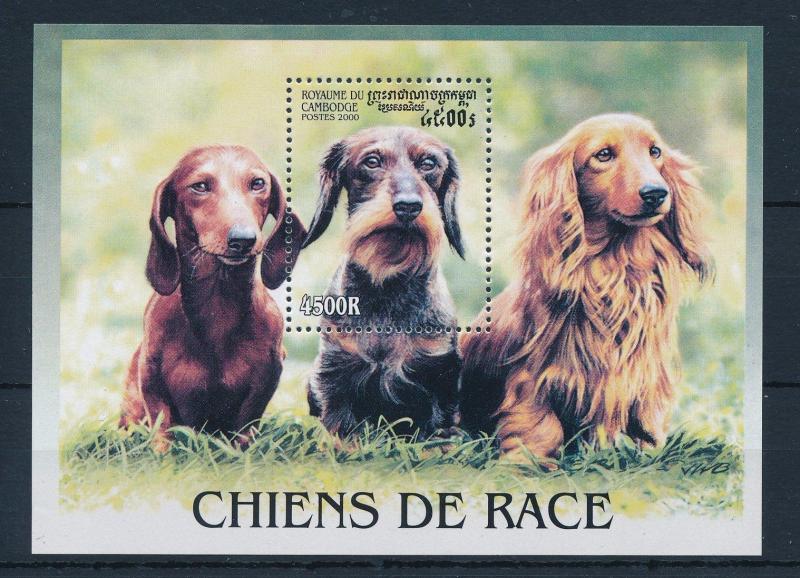 [30086] Cambodia 2000 Animals Dogs Teckel MNH Sheet