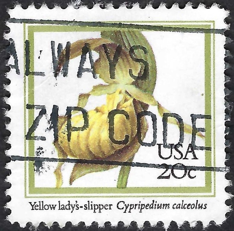 United States #2077 20¢ Yellow Lady's Slipper Orchid (1984). Used.