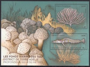 TAAF FRANCE ANTARCTIC 2023 FISH POISSONS FISCHE PESCE MARINE FAUNA FSAT