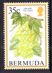 Bermuda 675 Fruit MNH VF