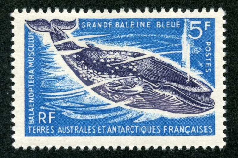 FSAT Scott 25 Unused HOG - 1966 5fr Great Blue Whale - SCV $18.50