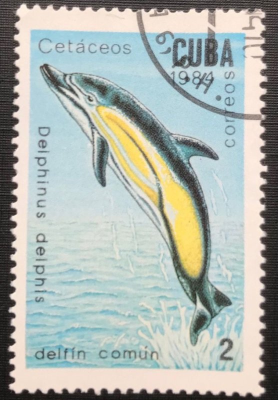 CUBA Sc# 2678 MARINE MAMMALS ocean sea life 2c  1984  used cto