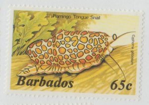 Barbados Scott #653 Stamp - Mint NH Single