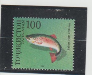 Tajikistan  Scott#  91b  MNH  (1996 Brown Trout)