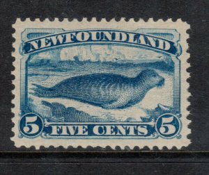 Newfoundland #55 Mint Superb Never Hinged Gem