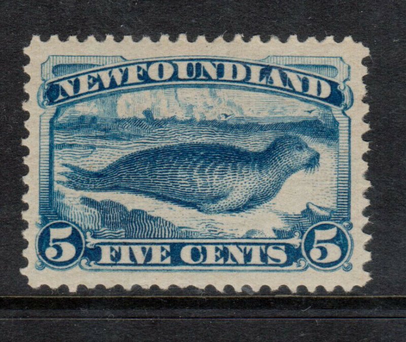 Newfoundland #55 Mint Superb Never Hinged Gem