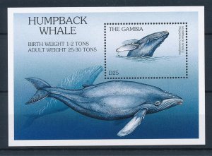 [47801] Gambia 1997 Marine life humpback whales Souvenir Sheet MNH