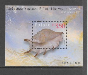 SHELLS - POLAND #3774  MNH