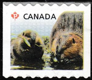 Canada 2711 Baby Wildlife Canadian Beaver 'P' coil single MNH 2014