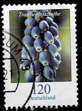 Germany 2019, Michel# 3447 used Flower; Grape Hyacinth