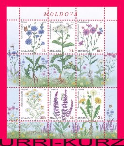 MOLDOVA 2016 Nature Flora Plants Wild Meadow Field Flowers s-sheet Sc909a MNH