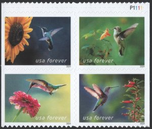 NEW ISSUE (Forever) Garden Delights Booklet Block of Four (2024) SA