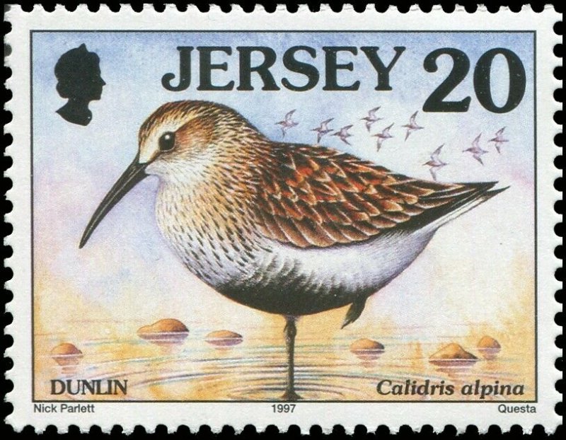 Great Britain Jersey 1997 Sc 778-785 Birds Merganser Tern Gull Puffin CV $10.85