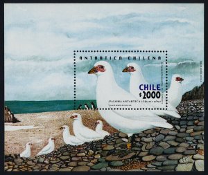 Chile 1374 MNH Birds