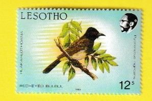 LESOTHO SCOTT#622 1988 12s CAPE CLAPPER LARK BIRD - MNH