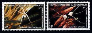 [61979] New Caledonia 1984 Flora Flowers Blumen Fleur - Orchids  MNH