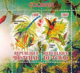 Chad 2011 Long-tailed Hummingbird Birds Fauna Animal Nature Fauna M/S Stamps MNH