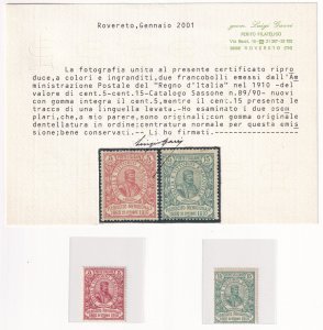 Italy 1910 Plebiscite Set (5c & 15c) – Certified, Sassone 89/90, MNH/MH
