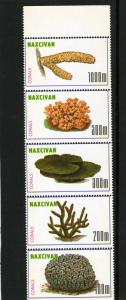 Naxcivan Republic 1997 Cactus Strip (5) Perforated mnh.vf