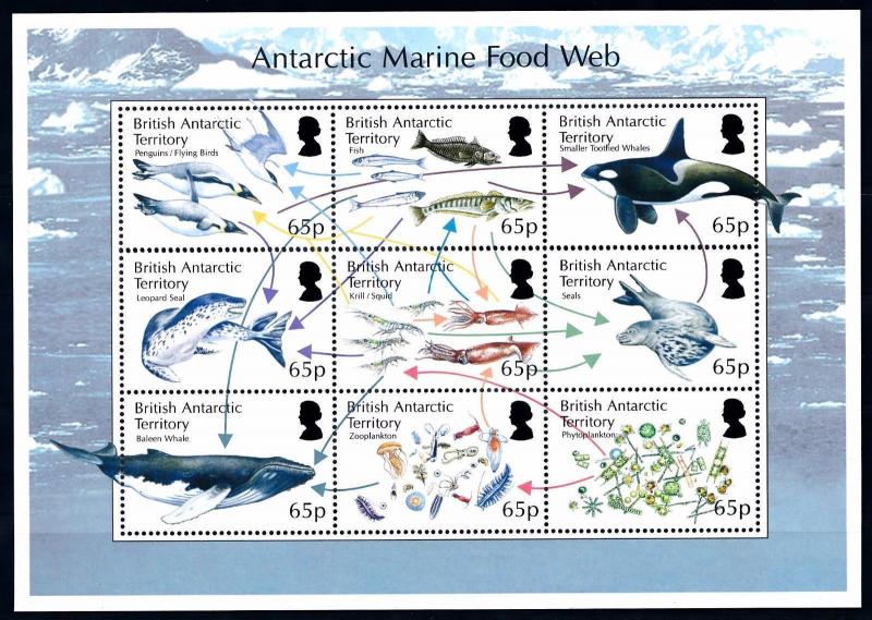 [66845] British Antarctic Territory 2014 Marine Life Orca Whale Fish Sheet MNH 