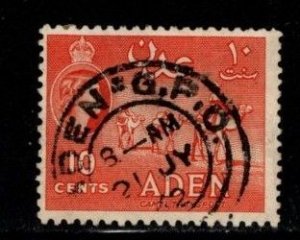 Aden -  #49 Camel Transport  -  Used