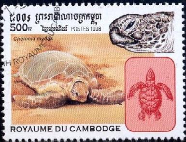 Turtle, Chelonia Mydas, Cambodia stamp SC#1766 Used