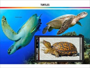 Sierra Leone - 2023 Common Box Turtle - Stamp Souvenir Sheet - SRL230145b1