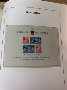 LIECHTENSTEIN – SOLID COLLECTION IN PAIR OF HINGELESS DAVO ALBUMS – 425277