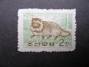 1962 - Racoon dog - MNH**