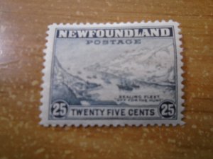 Newfoundland  # 265  MH