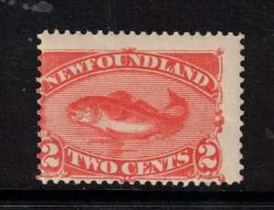 Newfoundland #48 Mint Fine Never Hinged