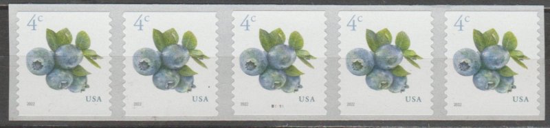 #5653,  PNC-5 B1111.  Blueberries  MNH .04 cent