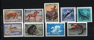 RUSSIA/USSR 1959 FAUNA/WILD ANIMALS SET OF 9 STAMPS MNH