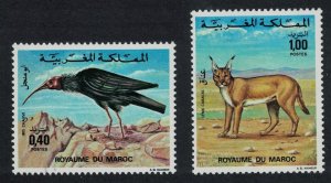 Morocco Waldrapp Bird Caracal Wild Cat Fauna 2v 1975 MNH SG#426-427