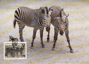 Namibia 1991 Maxicard Sc #696 45c Hartmann's Mountain Zebra WWF