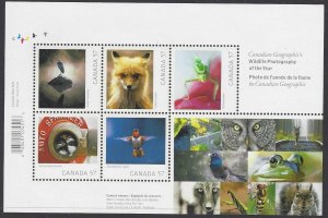 Canada #2388 MNH   Canadian Geographic Wildlife Photos of the year , issued 2010