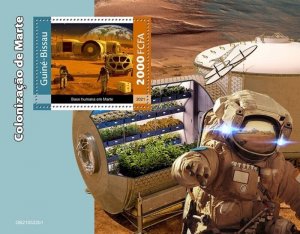 Guinea-Bissau - 2021 Colonization of Mars - Stamp Souvenir Sheet - GB210522b1