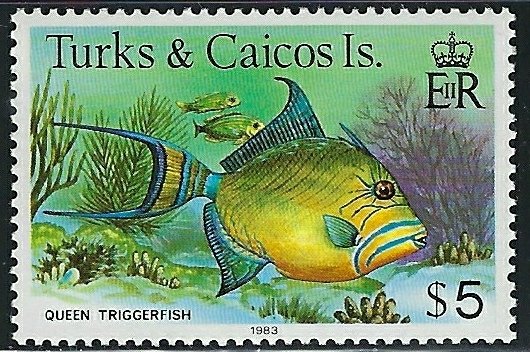 Turks and Caicos 374b MNH 1983 Fish (an3504)