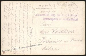 Austrian WWI 1917 Mount Sinai Turkey Military Mission Cover Feldpost 109494